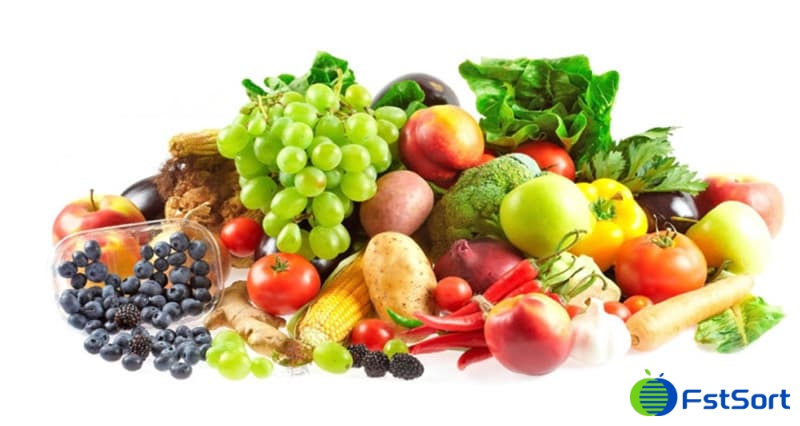 images/1702887239121fruit  vegetable processing machine.jpg